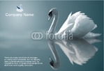 postcard-31