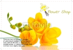 postcard-622