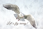 Let's Fly Away
