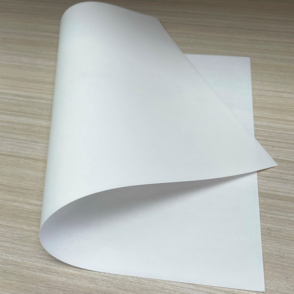 Hoja Selladora para DTF