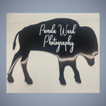 Buffalo