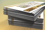 Magnet Business Card 4