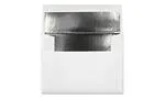 Silver Envelope