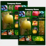 flyers-one-side_4