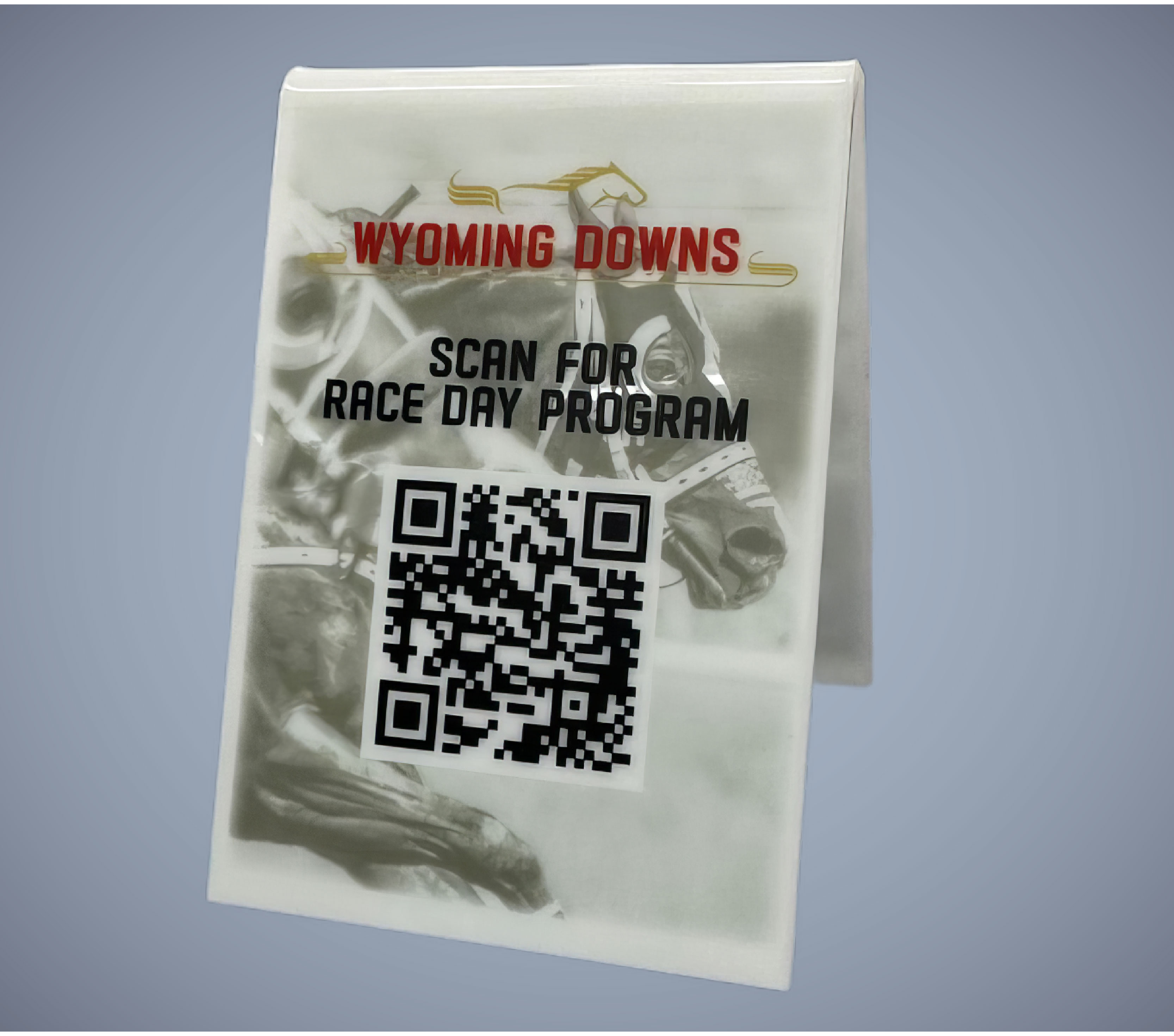 Plastic Table Tents