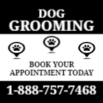 Dog Grooming 2