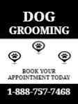 Dog Grooming 3